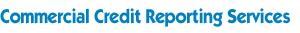Commercial Credit Check